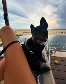 Instagram post by @cashythefrenchie