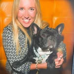 @cashythefrenchie Instagram Profile