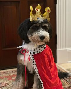 Instagram post by @shannonmiller96