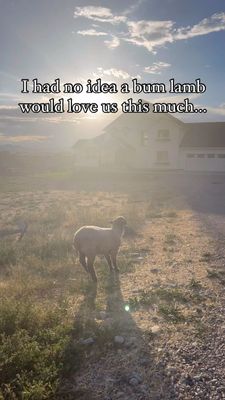 Instagram post by @thedondrivefarm