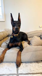 Instagram post by @artieandbrody