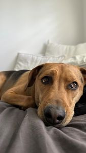 Instagram post by @artieandbrody