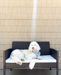 Instagram post by @artieandbrody