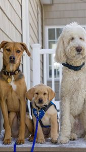 Instagram post by @artieandbrody