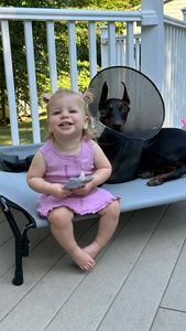 Instagram post by @artieandbrody