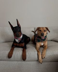 Instagram post by @artieandbrody