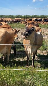 Instagram post by @lipstickandwellness