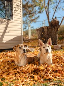 Instagram post by @_brianllamas