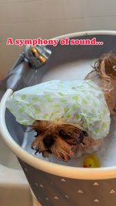 Instagram post by @fluffpuffcrew