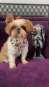 Instagram post by @fluffpuffcrew