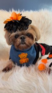 Instagram post by @fluffpuffcrew