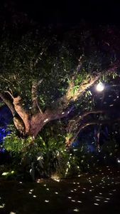 Instagram post by @youngatheartmom