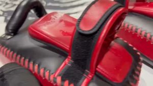 Instagram post by @thefranklester