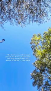 Instagram post by @marloveillon