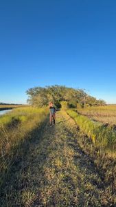 Instagram post by @ariart