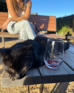 Instagram post by @what_i_bought_this_week