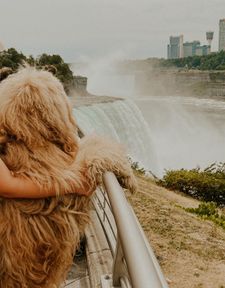 Instagram post by @goosedoodledood