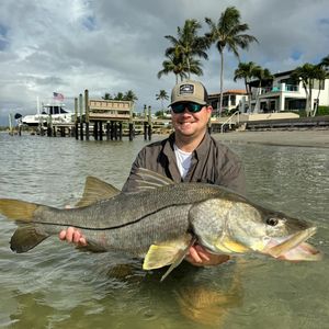 Instagram post by @ryannitz