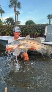 Instagram post by @ryannitz