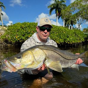 Instagram post by @ryannitz