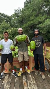 Instagram post by @goldenorganicfarm