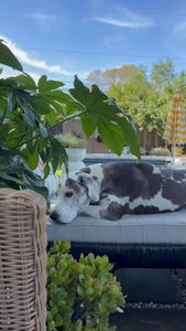 Instagram post by @sgardnerstyle