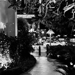 Instagram post by @jackspiccini