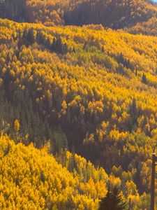 Instagram post by @emma_hall18