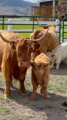 Instagram post by @athomewithkaraallen