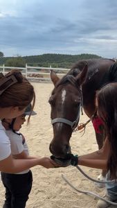 Instagram post by @linzyluu