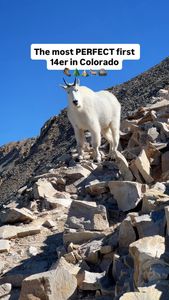 Instagram post by @ilariareed