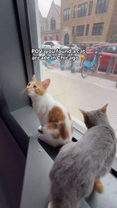 Instagram post by @keninchicago