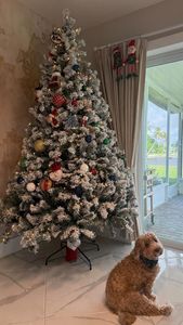 Instagram post by @inspiredbycisil