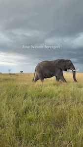 Instagram post by @sarahydobson