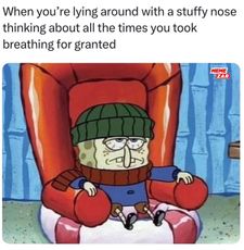 Instagram post by @shubidoobydoo1