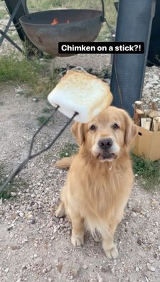 Instagram post by @leviatyourservice