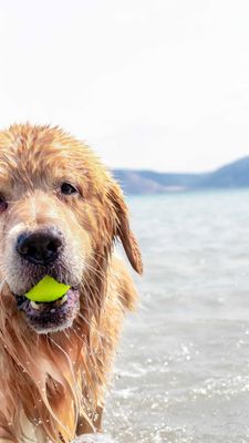 Instagram post by @leviatyourservice