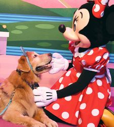 Instagram post by @leviatyourservice