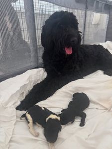 Instagram post by @_ssolid