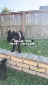 Instagram post by @_ssolid