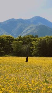 Instagram post by @treloren