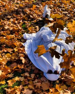 Instagram post by @isabel_the_mama