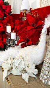 Instagram post by @snoe.aschman