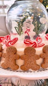 Instagram post by @snoe.aschman