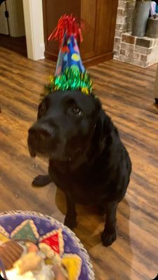 Instagram post by @slpearsall