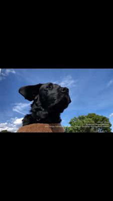 Instagram post by @slpearsall