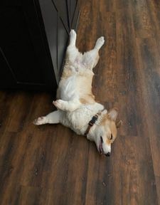 Instagram post by @slpearsall