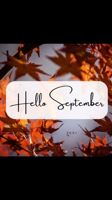 Instagram post by @i_doo_hair