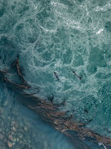 Instagram post by @damianrileyphoto