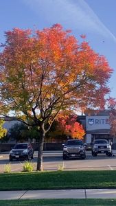 Instagram post by @kaelyn_nicolee